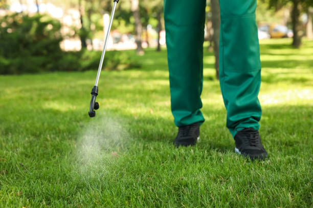 Trusted Marionville, MO Pest Control Experts