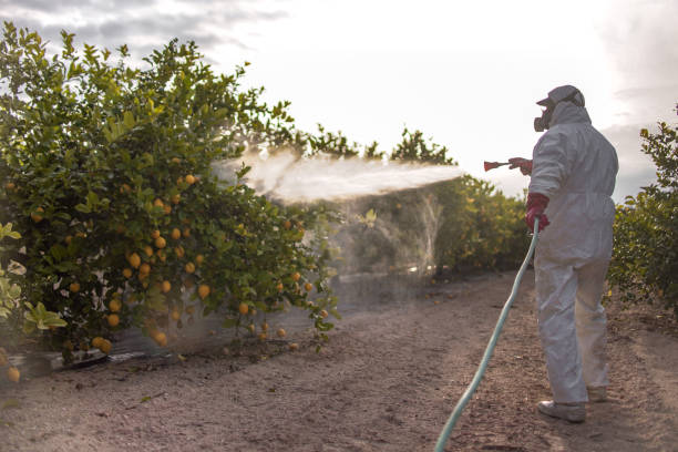 Best Mosquito Control Services  in Marionville, MO