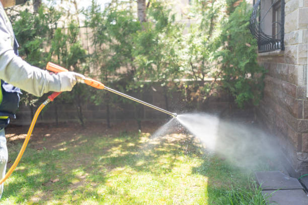 Best Pest Removal Services  in Marionville, MO