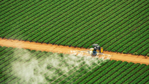 Best Pest Control for Businesses  in Marionville, MO
