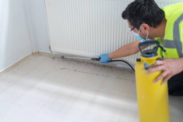 Best Local Pest Control Services  in Marionville, MO