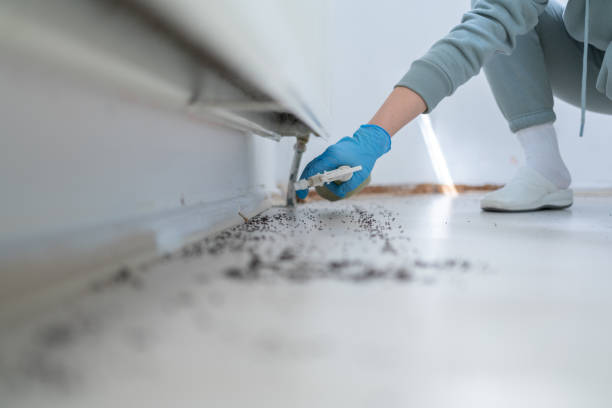 Best Affordable Pest Control Services  in Marionville, MO