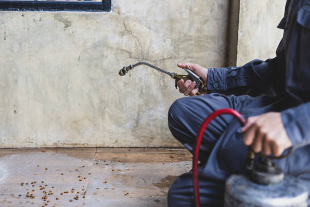 Best Pest Prevention Services  in Marionville, MO
